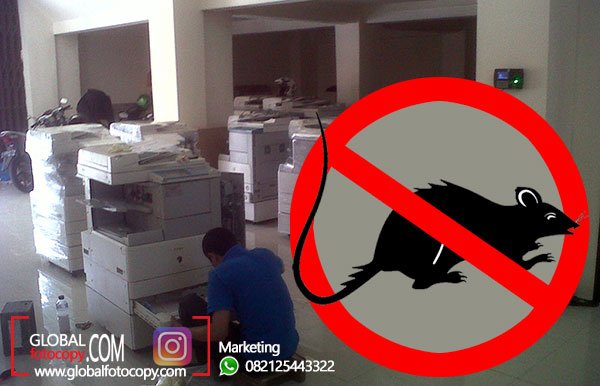 Cara Agar Mesin Fotocopy Aman Dari Tikus